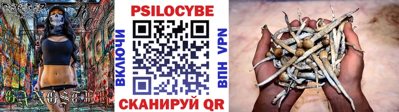 Купить  Камышлов  Галлюциногенные грибы ЛСД 
